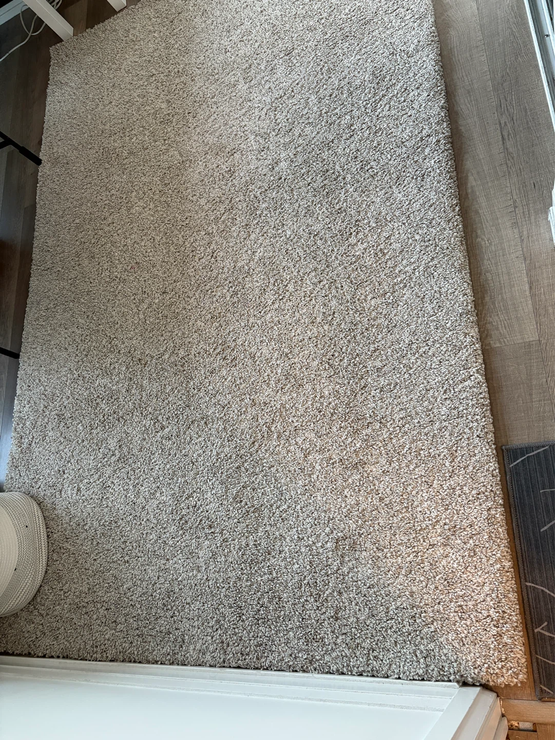 Area rug/ carpet - photo 3