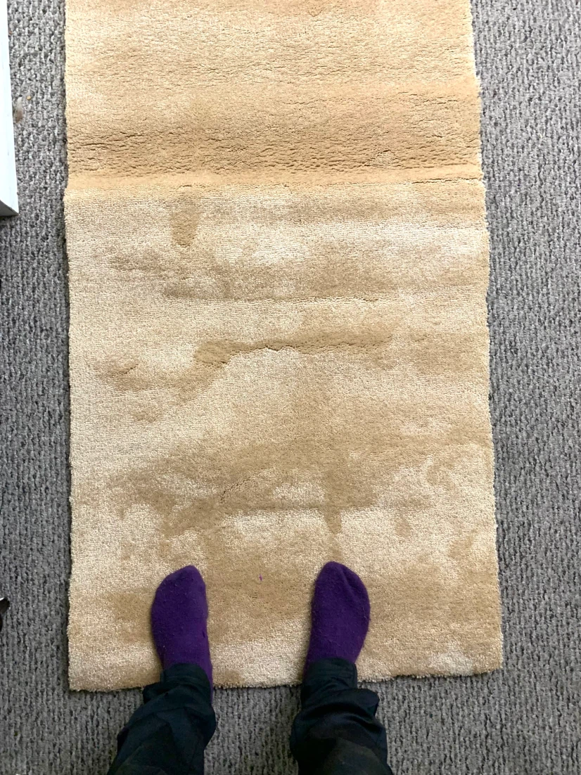 Extra Long Hallway Runner Rug Beige Carpet Floor Mat  13.5 Ft - photo 2