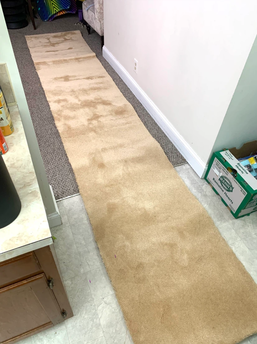 Extra Long Hallway Runner Rug Beige Carpet Floor Mat  13.5 Ft - photo 5