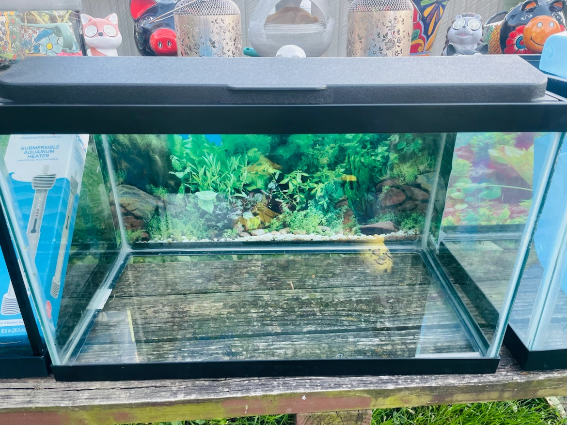 Topfin 10 gallon fish tank