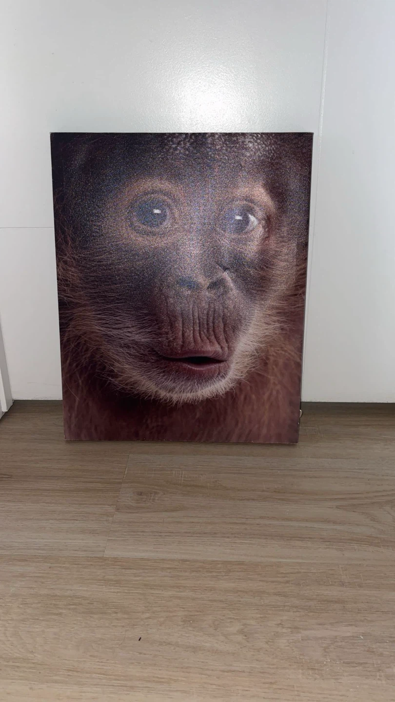Modern Orangutan Portrait Printed Canvas Art