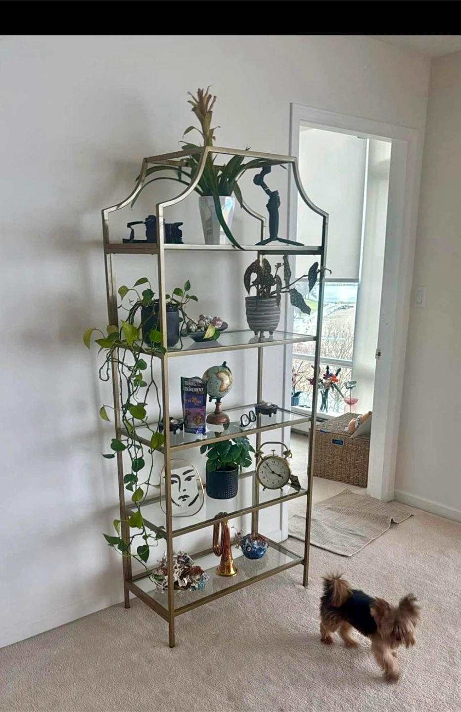 Trent Austin Design Chiasson Metal Bookcase - photo 3