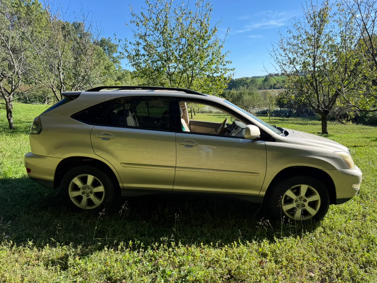2004 Lexus RX330 SUV AWD - photo 4