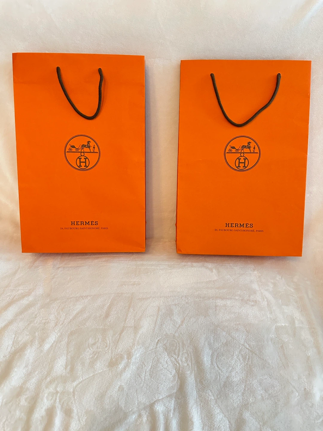 Two Authentic Hermes Shopping Bags