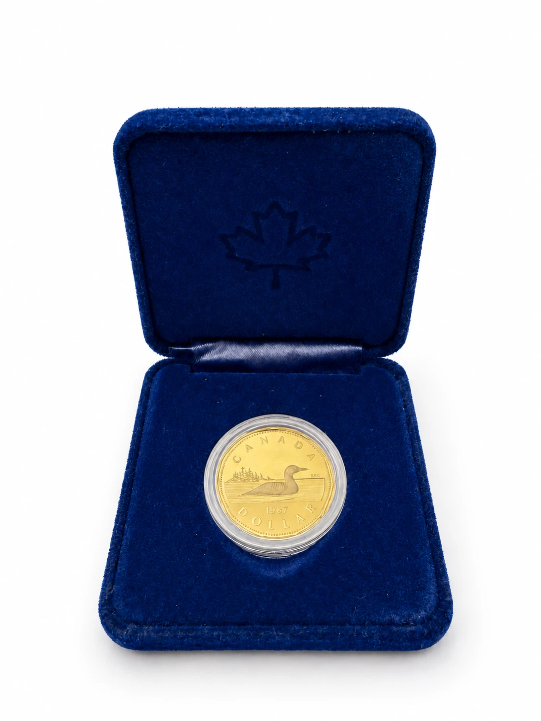 1987 Royal Canadian Mint Loon Dollar Proof Coin - photo 5