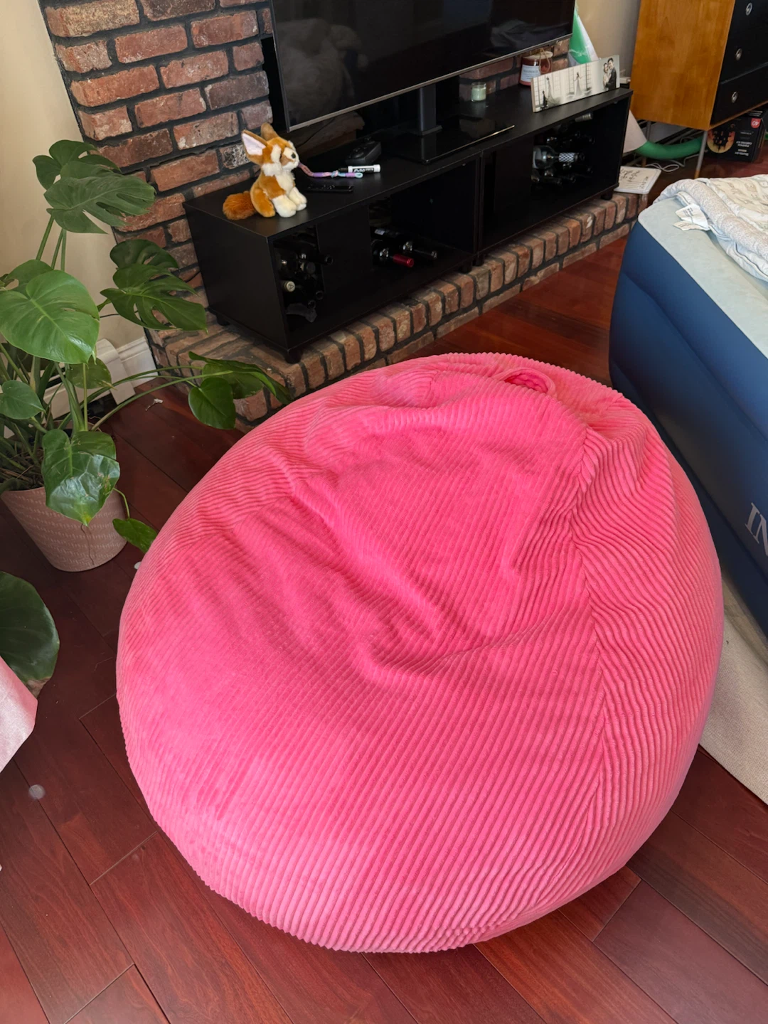 Cansunna 3ft Pink Bean Bag Chair