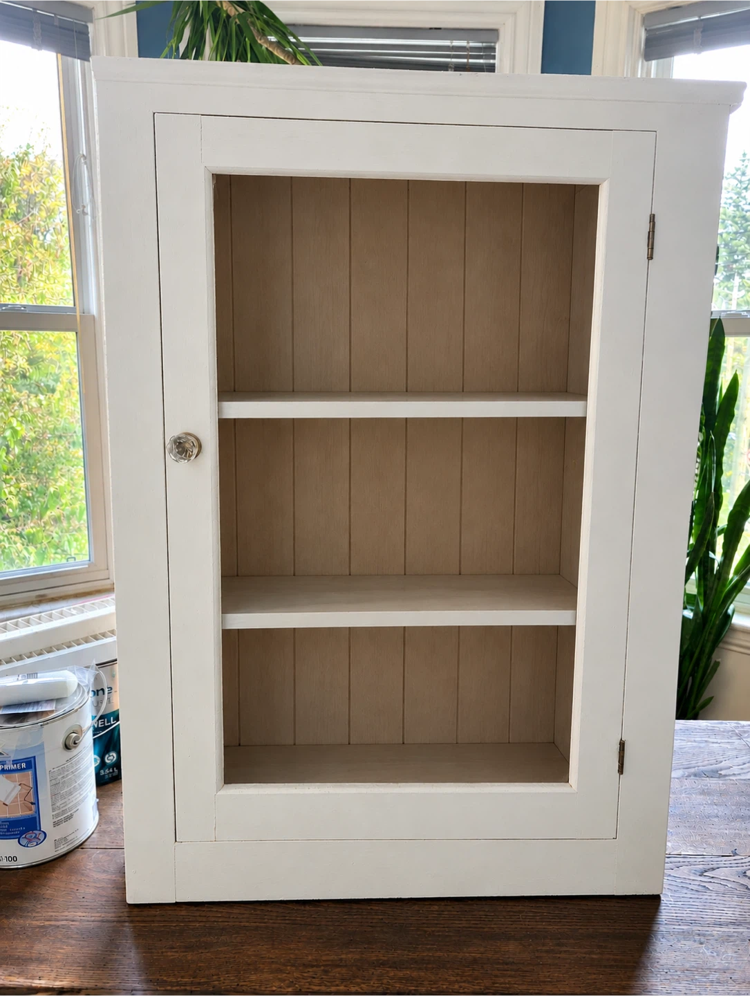 Large Wooden Cabinet with Glass Door