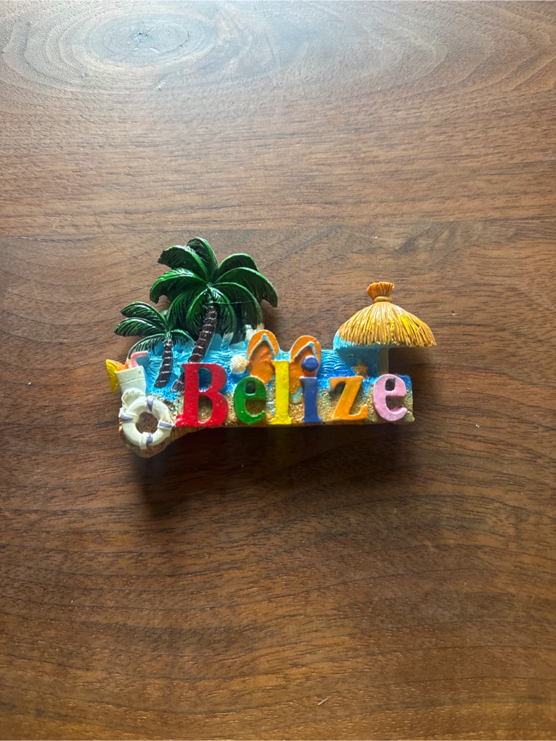 Belize Souvenir Fridge Magnet