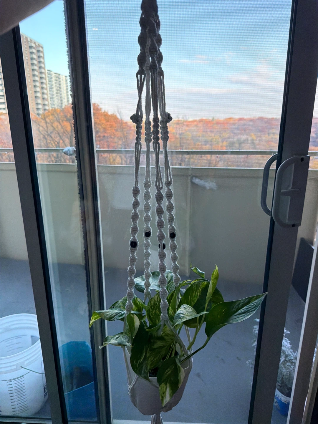 Macrame plant hanger with pothos plant - photo 2