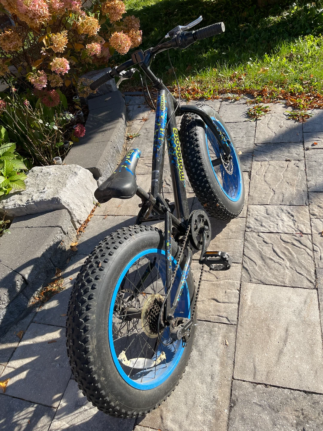 Mongoose 20” Fat Tire Bike – 7-Speed, Blue & Black - photo 2