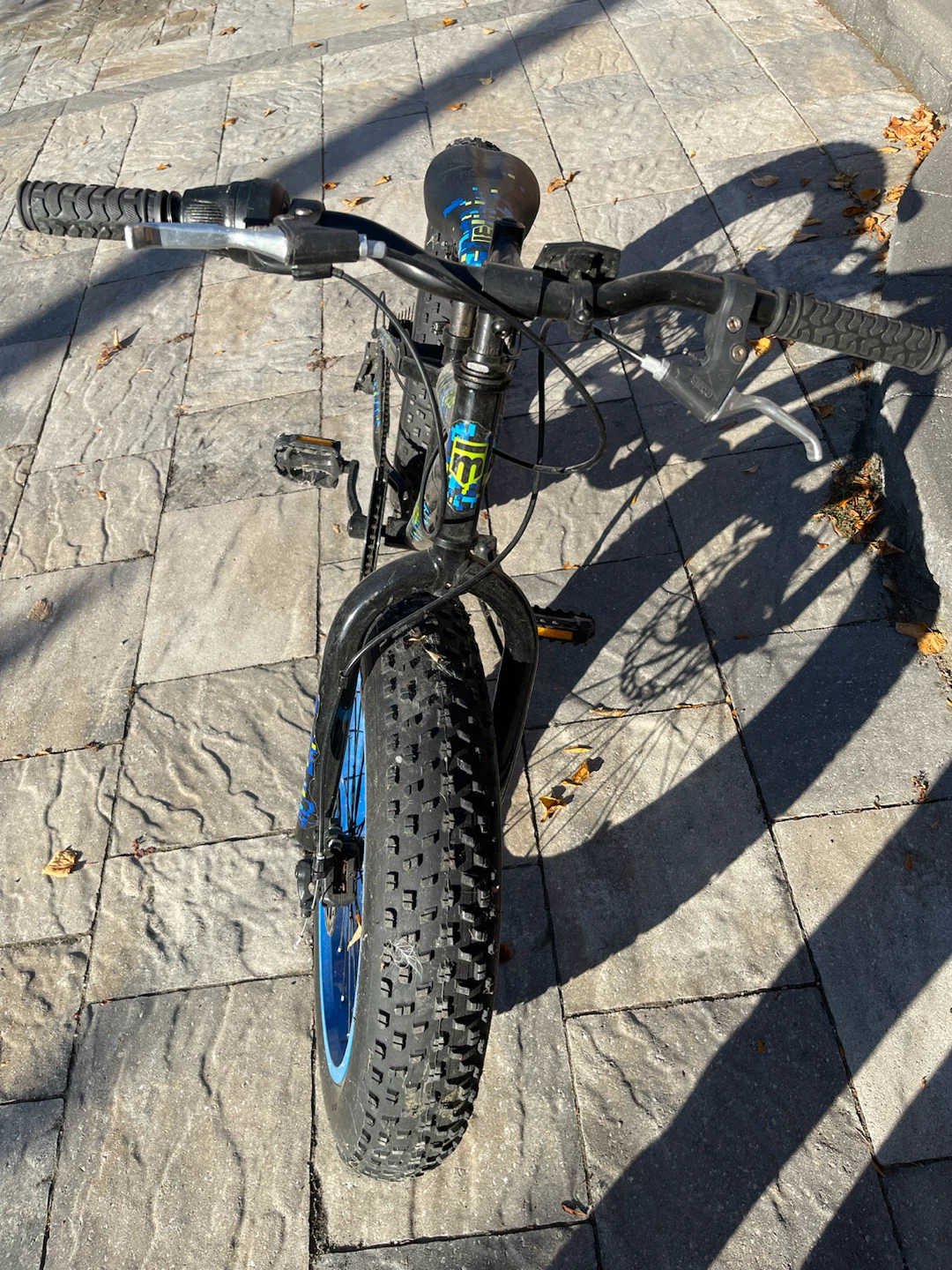 Mongoose 20” Fat Tire Bike – 7-Speed, Blue & Black - photo 3