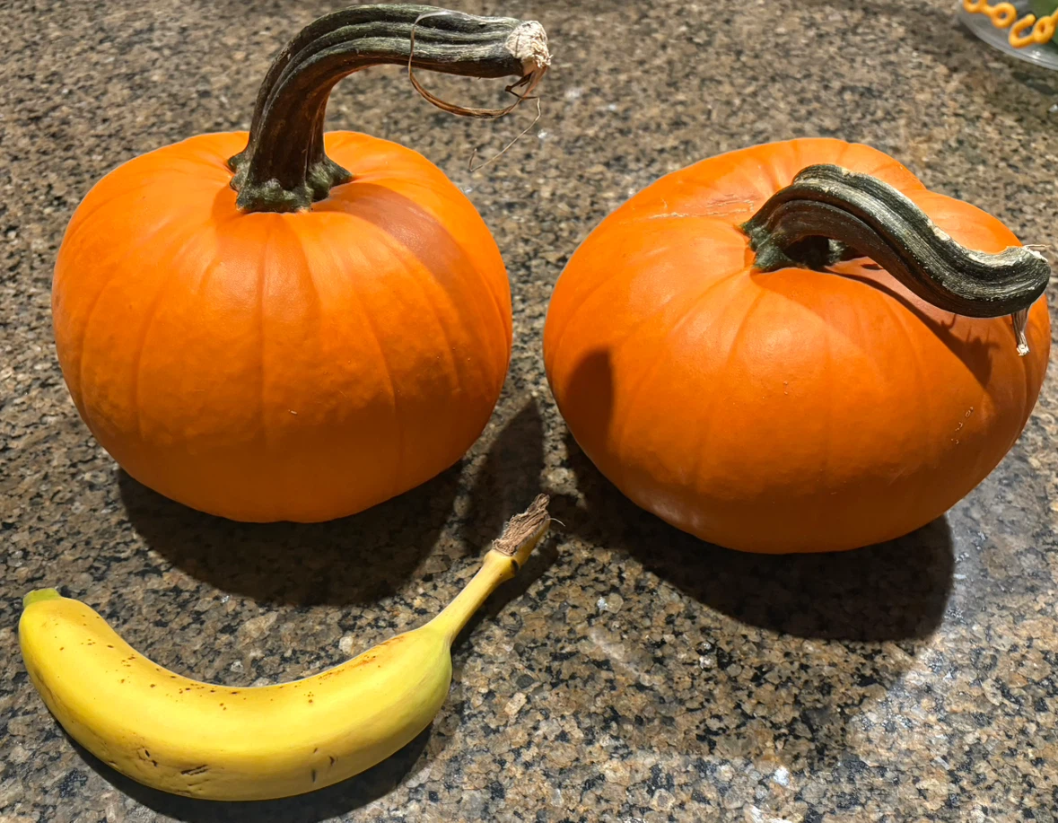 3 Pumpkins and 1 Gourd - photo 2