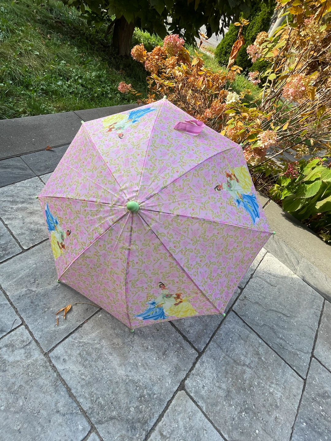 Princess umbrella