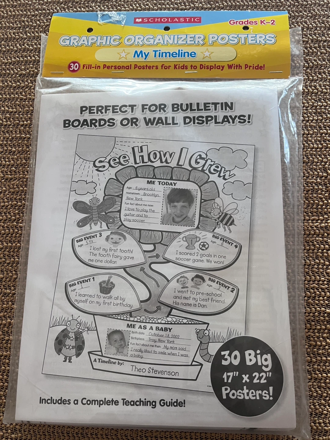 Scholastic My Timeline Graphic Organizer Posters