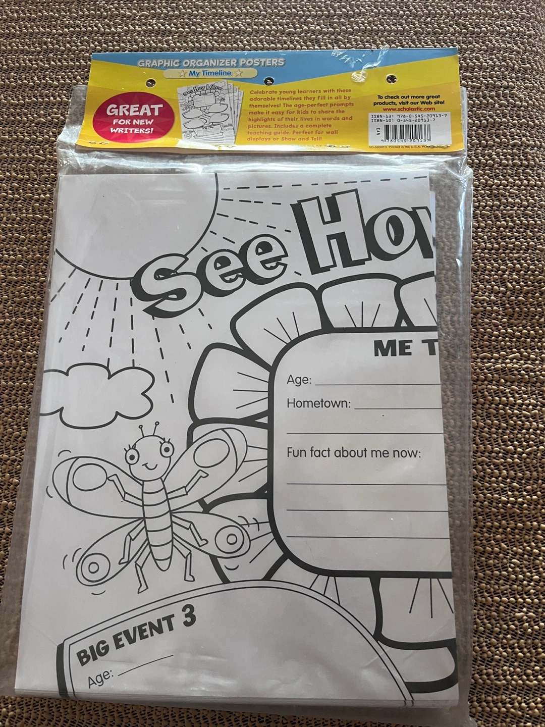 Scholastic My Timeline Graphic Organizer Posters - photo 2