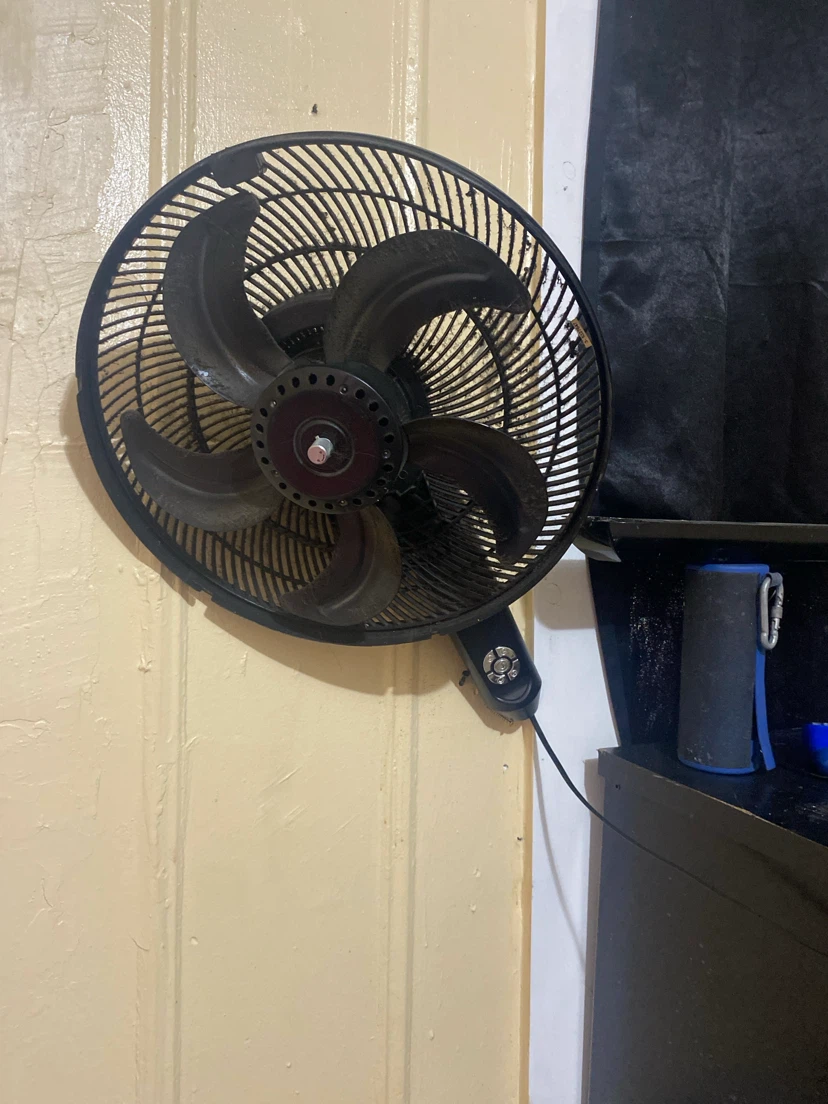 Wall-Mounted Electric Fan
