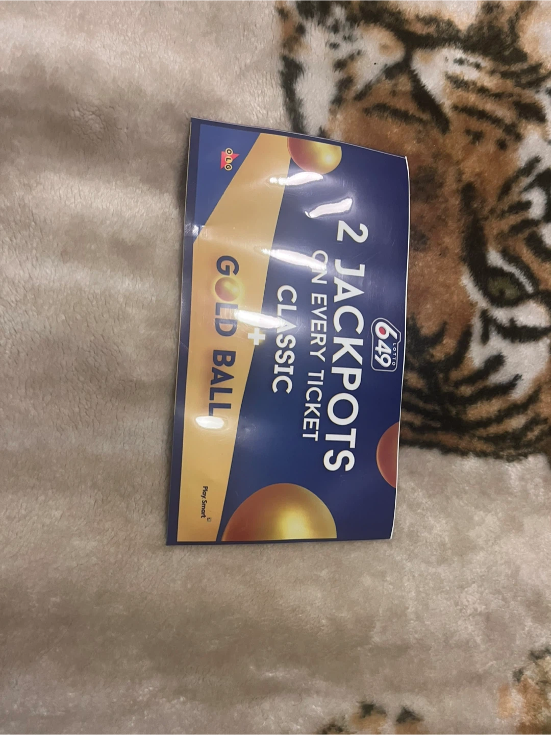 OLG Lotto 6/49 Pouch #freecycle 👻
