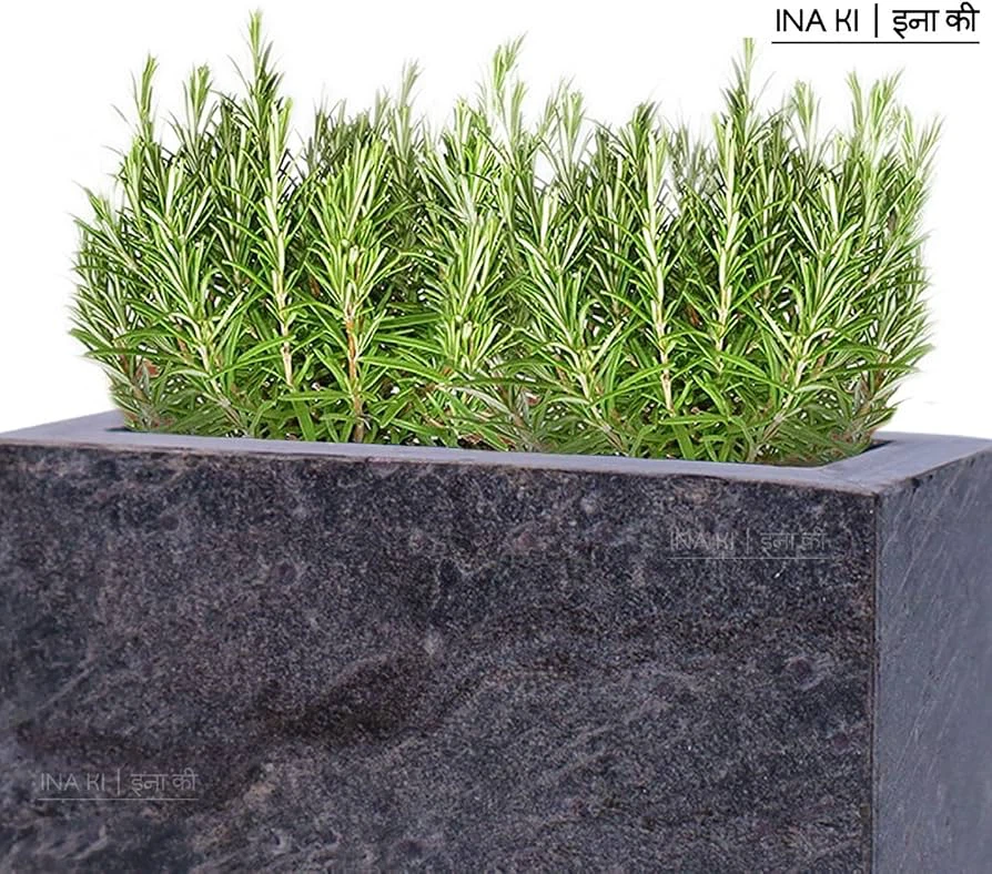 INA KI Natural Stone Planter for Desk - BN - photo 2