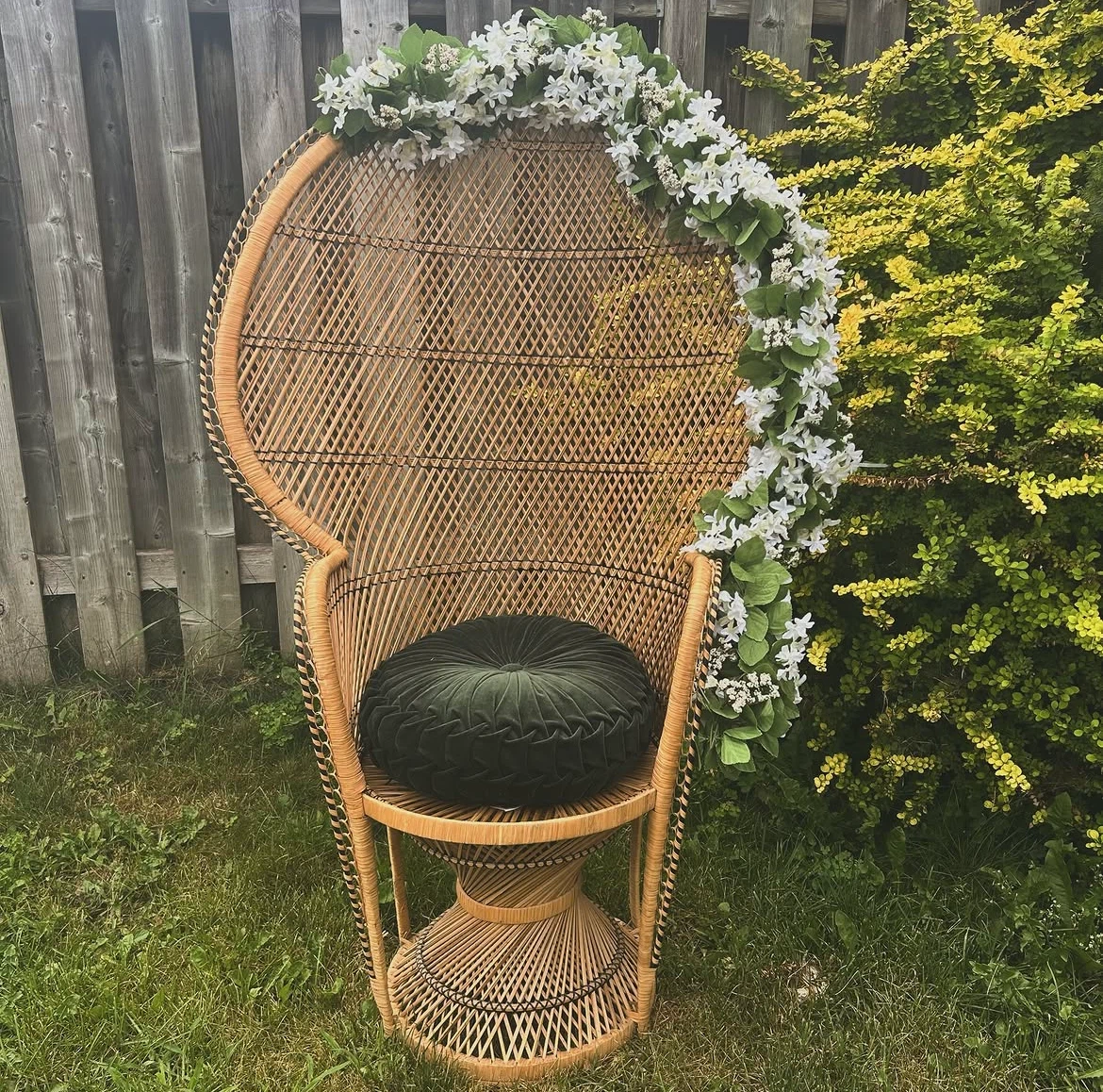 Rattan Peacock Chair
