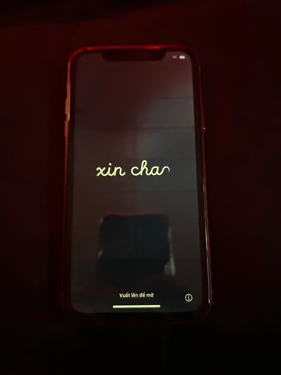 First come first serve Red IPhone XR