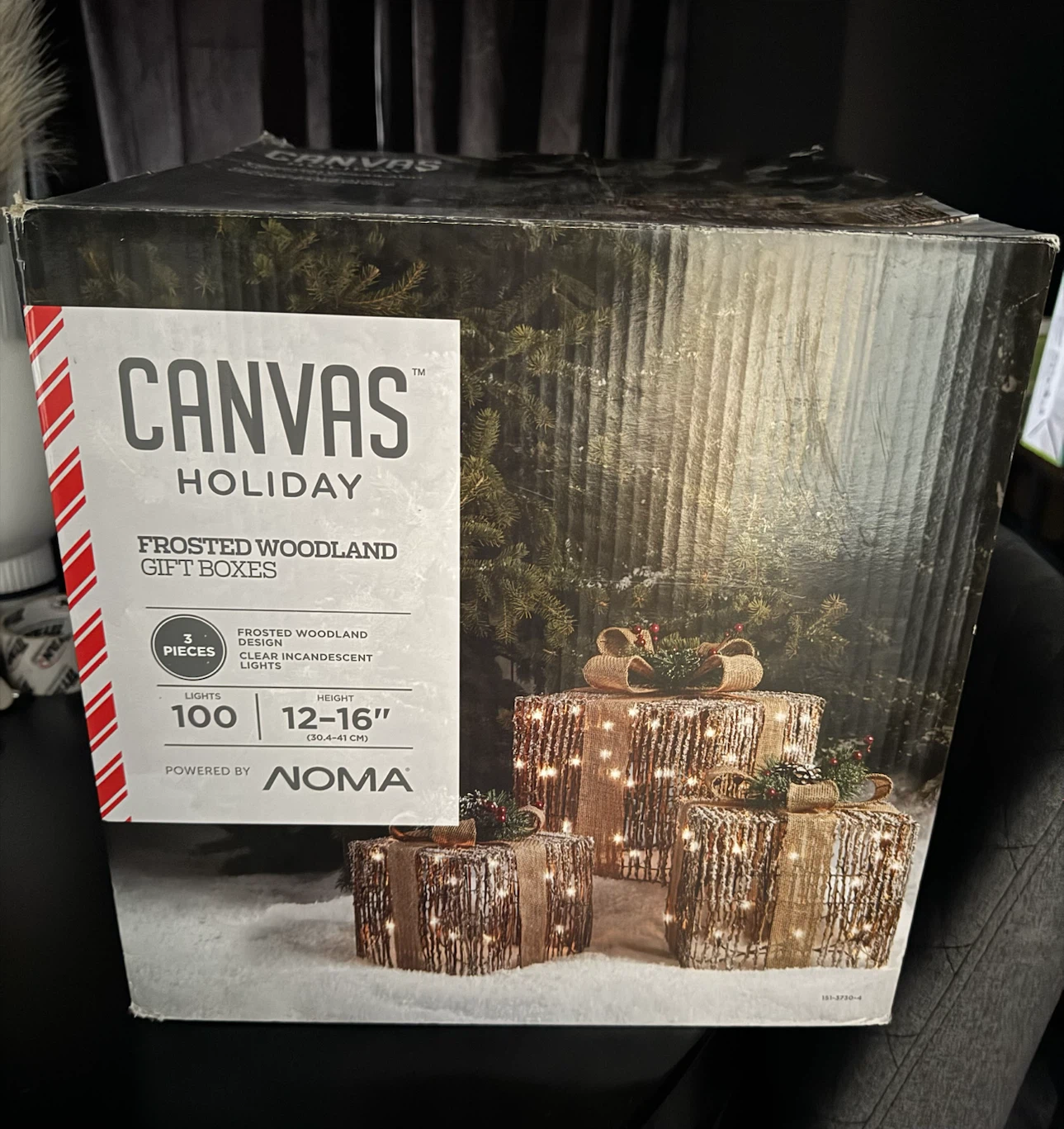 Canvas Holiday Frosted Woodland Gift Boxes