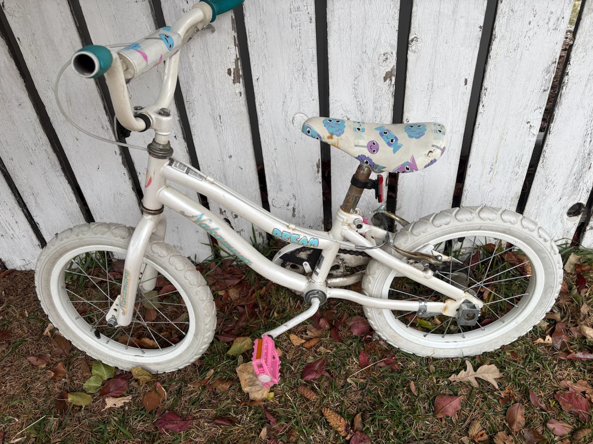 Nakamura Dream 14-inch Kids Bicycle - photo 2