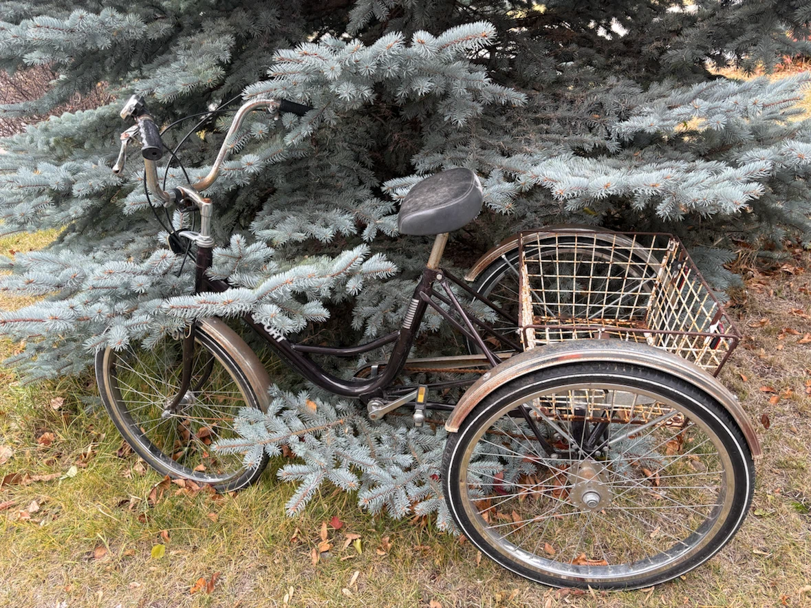 Velo Sport Adult Tricycle