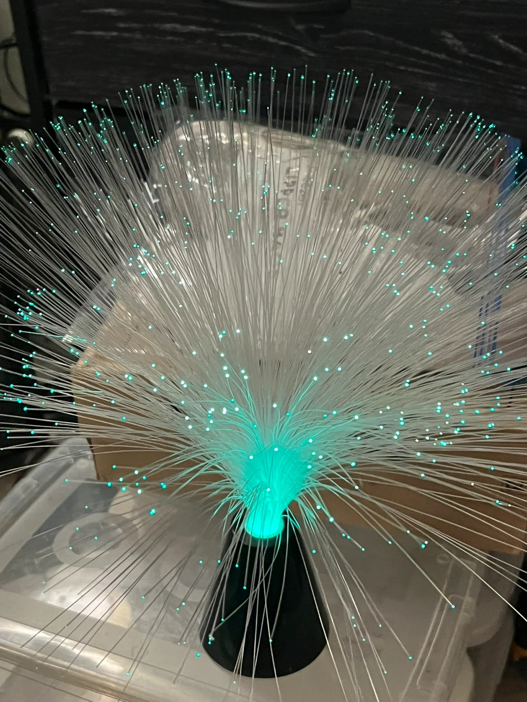 Color-Changing Fiber Optic Lamp - photo 2