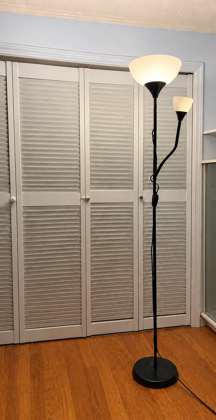 Black Dual Head Floor Lamp