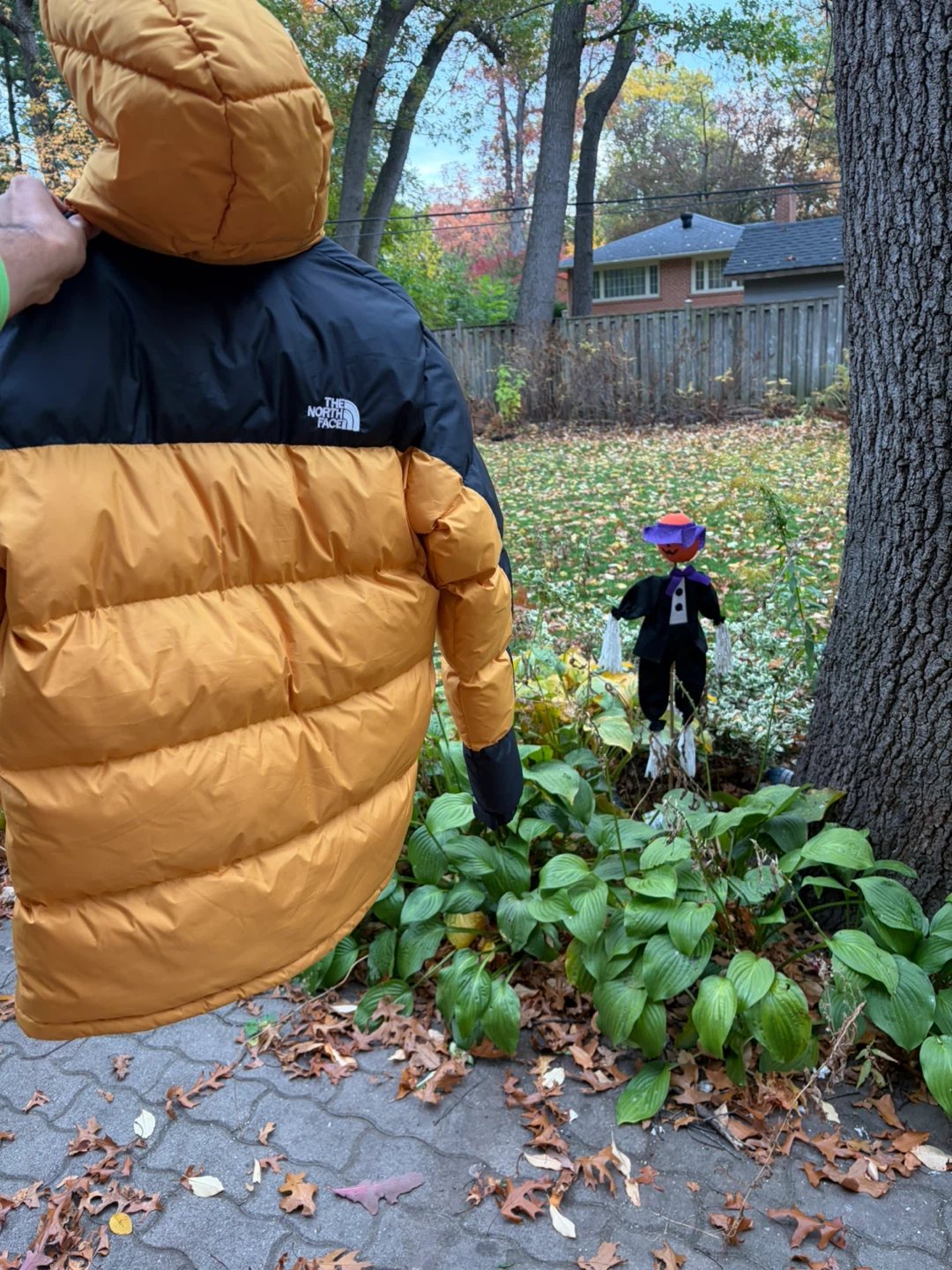 The North Face Himalayan 550 Down Jacket - photo 5