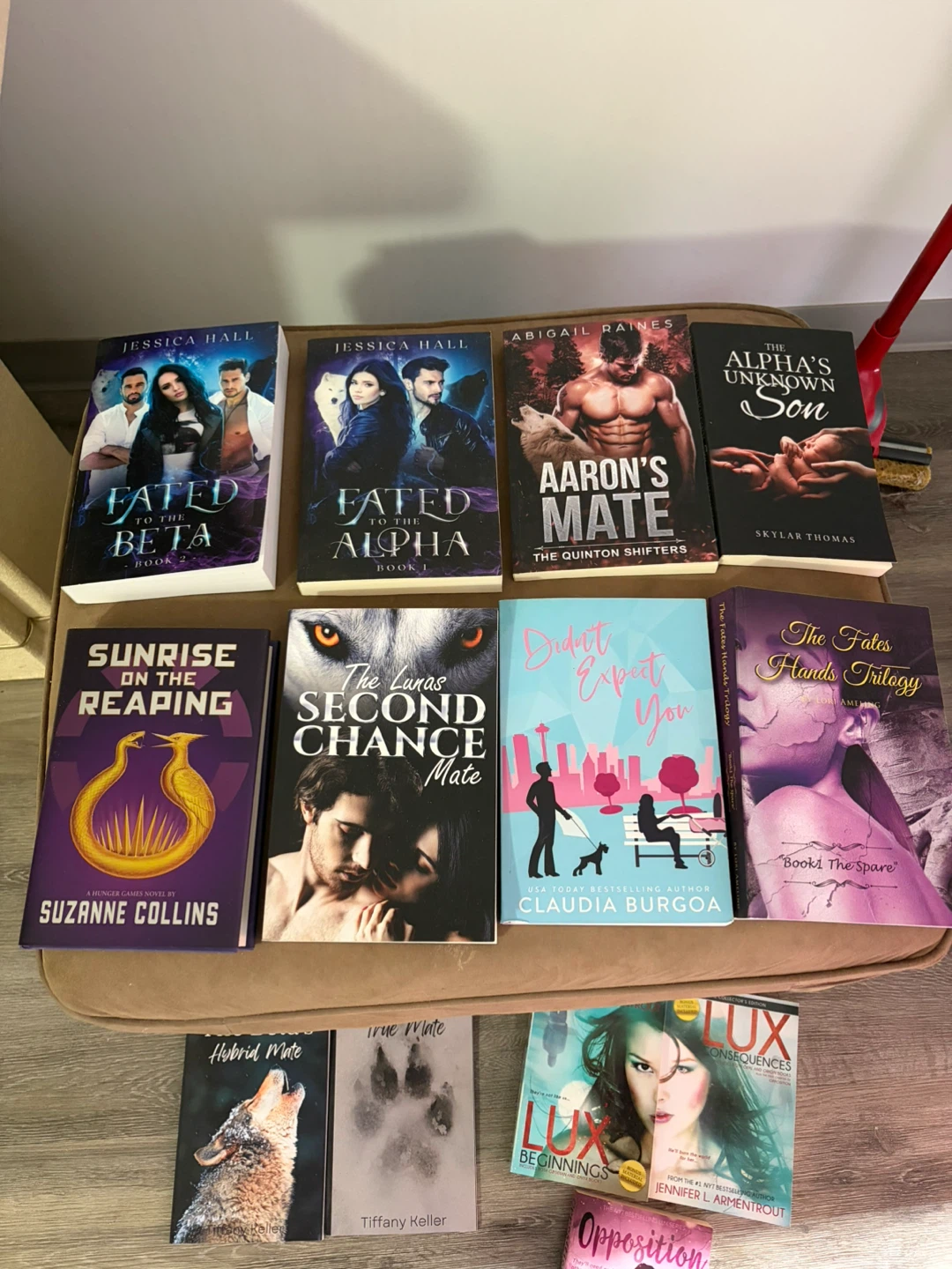 Collection of Young Adult and Fantasy Novels - photo 2
