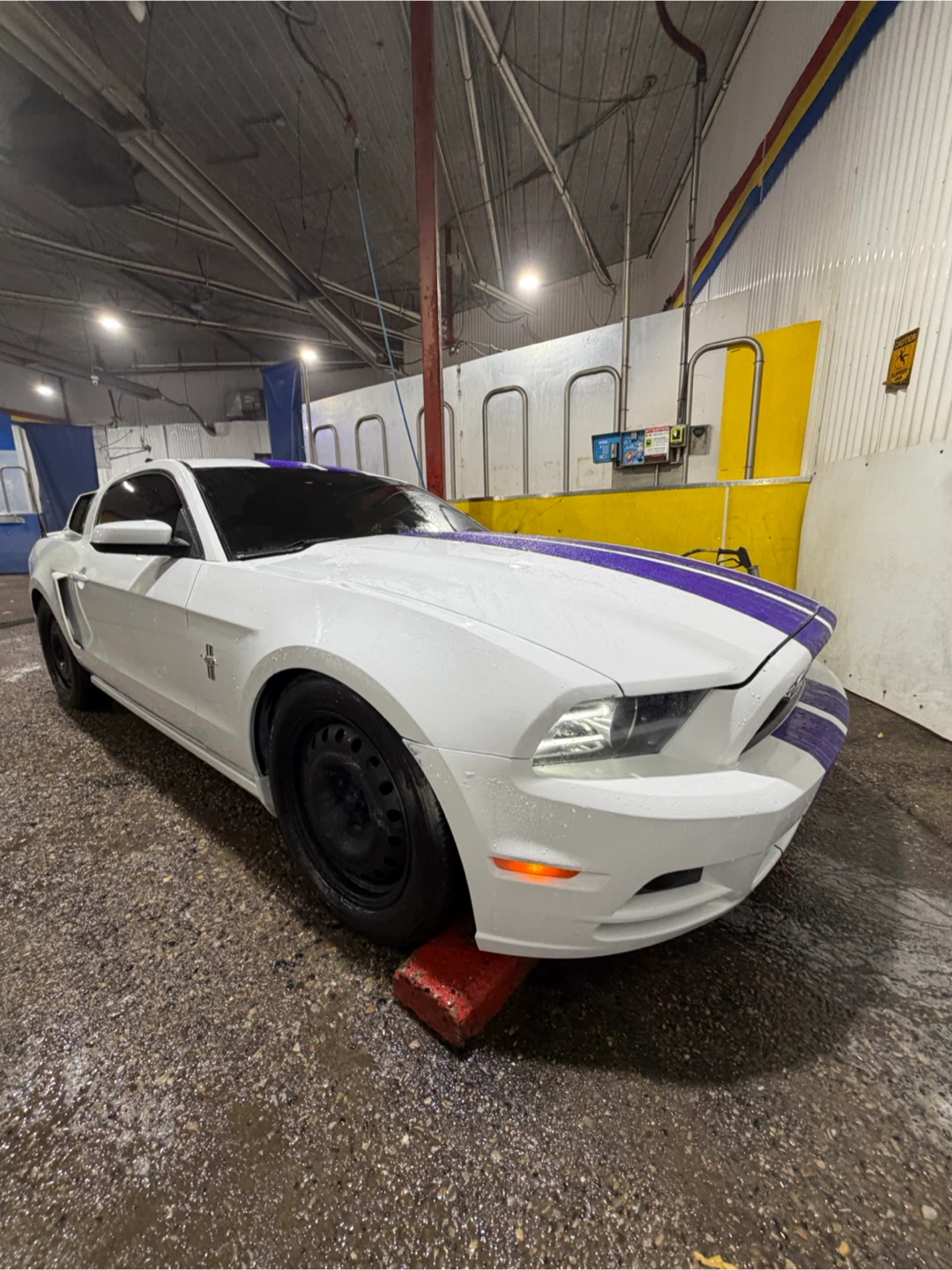 2014 Ford Mustang Manual V6 Premium Low KM