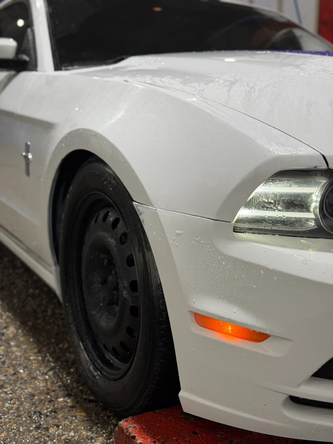 2014 Ford Mustang Manual V6 Premium Low KM - photo 2