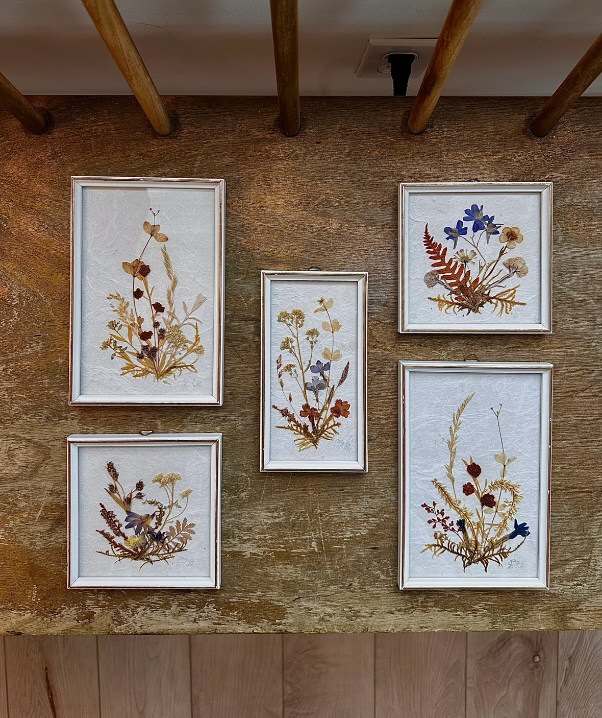 Vintage DINA Pressed Flower Art (Set of 5) - Made in W. Germany