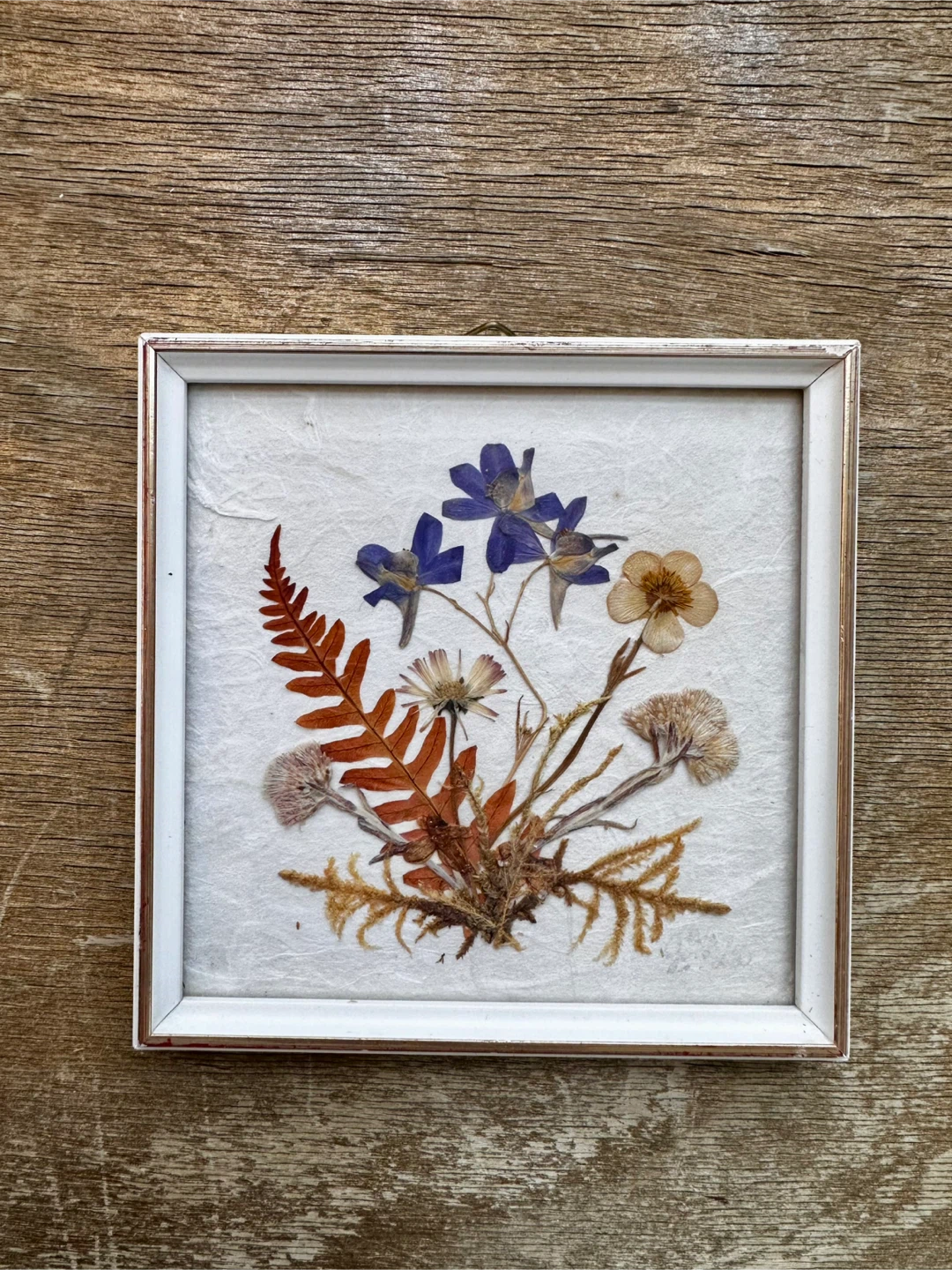 Vintage DINA Pressed Flower Art (Set of 5) - Made in W. Germany - photo 2