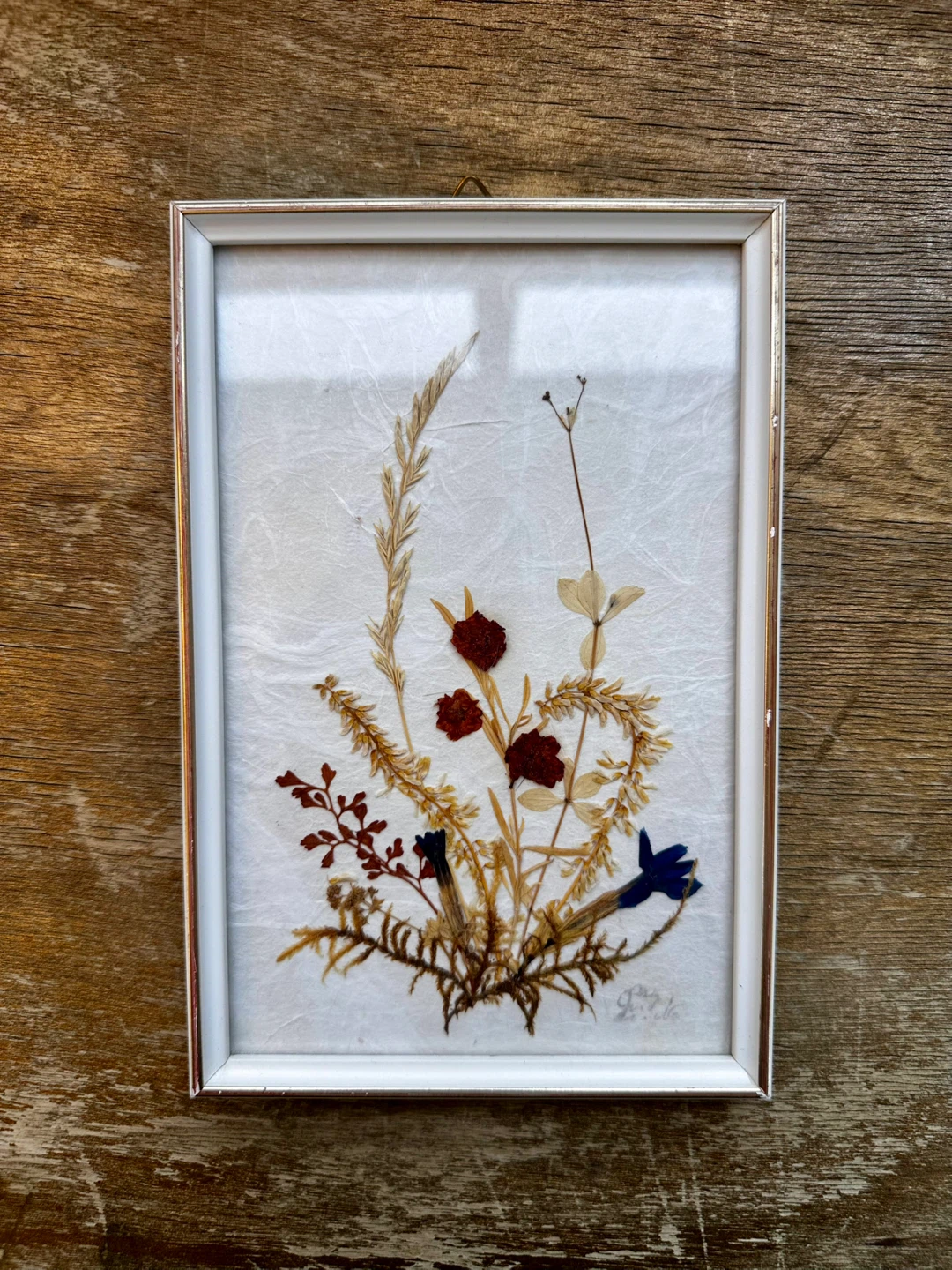 Vintage DINA Pressed Flower Art (Set of 5) - Made in W. Germany - photo 3