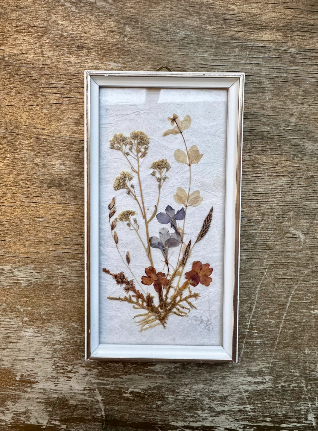 Vintage DINA Pressed Flower Art (Set of 5) - Made in W. Germany - photo 4