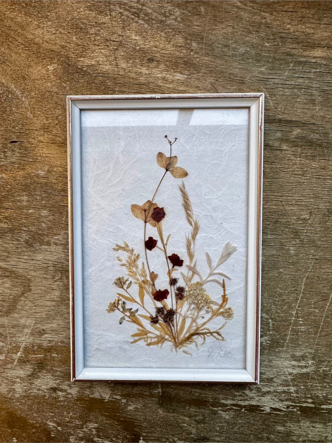 Vintage DINA Pressed Flower Art (Set of 5) - Made in W. Germany - photo 5