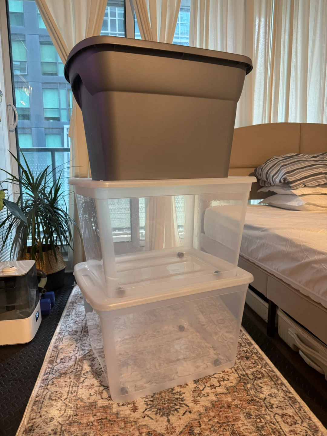 Bundle - 3 Storage Bins - Sterilite and Type A