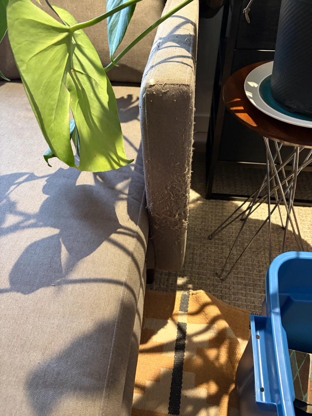 FREE Grey Sectional Sofa with Reversible Chaise - photo 3