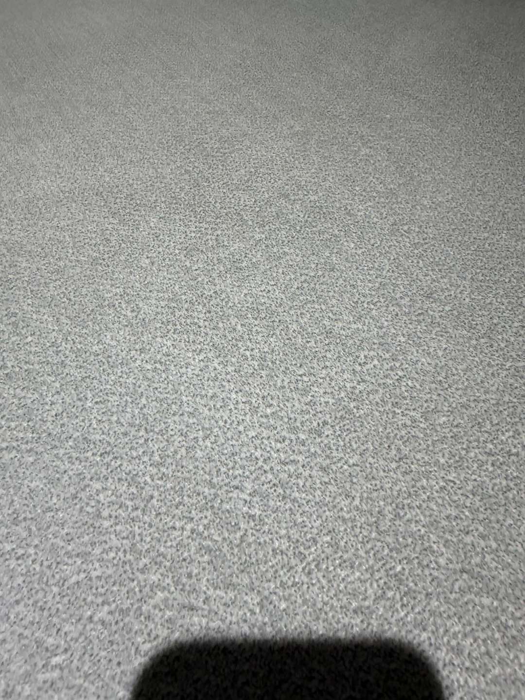 Light Grey Sectional Sofa with Chaise - photo 5