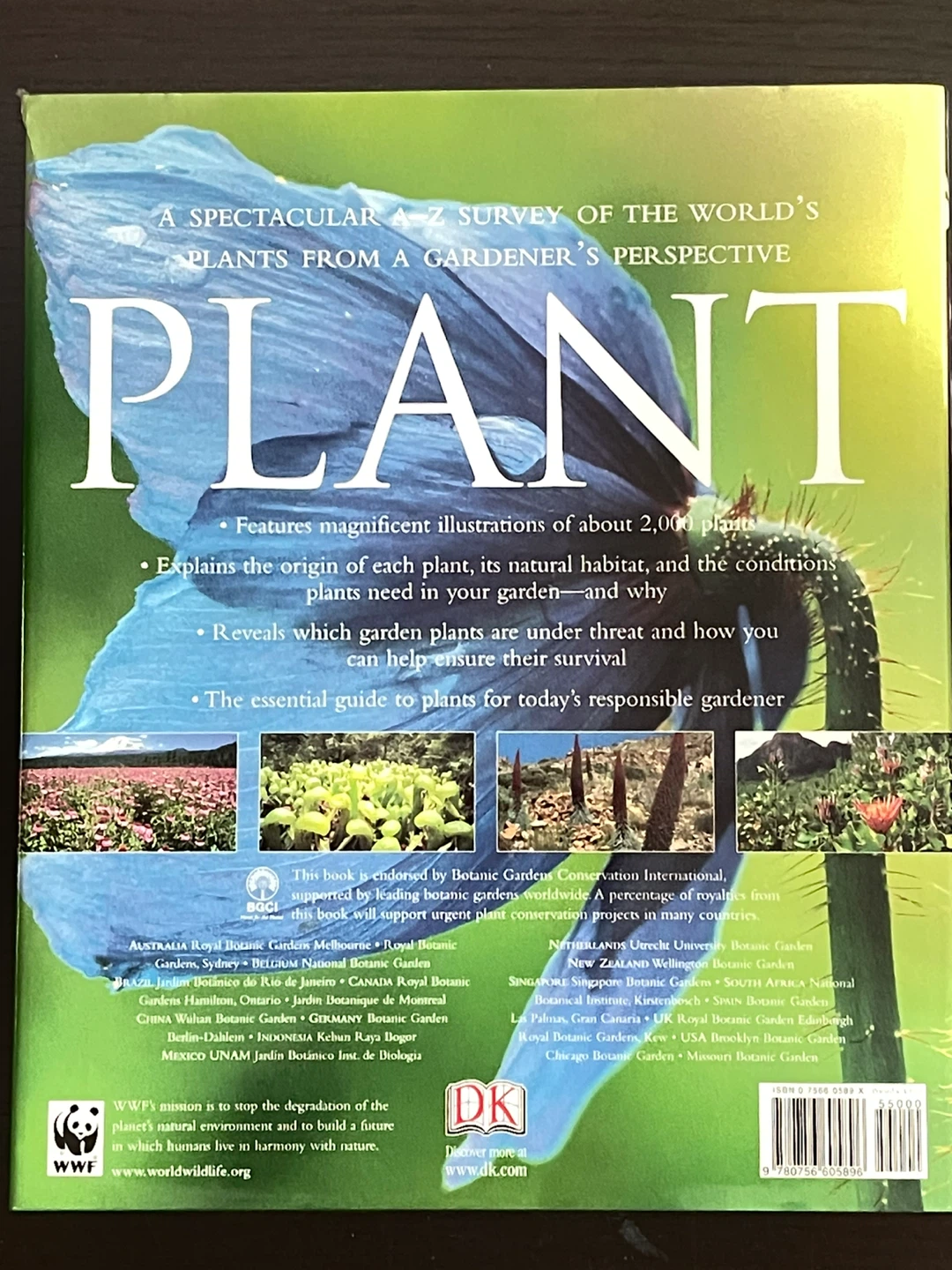 PLANT - photo 2