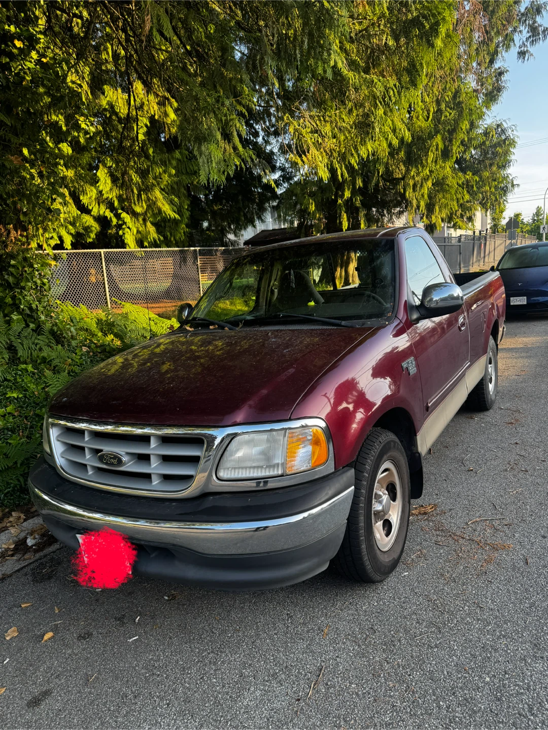 1999 Ford F150 single cab 2WD