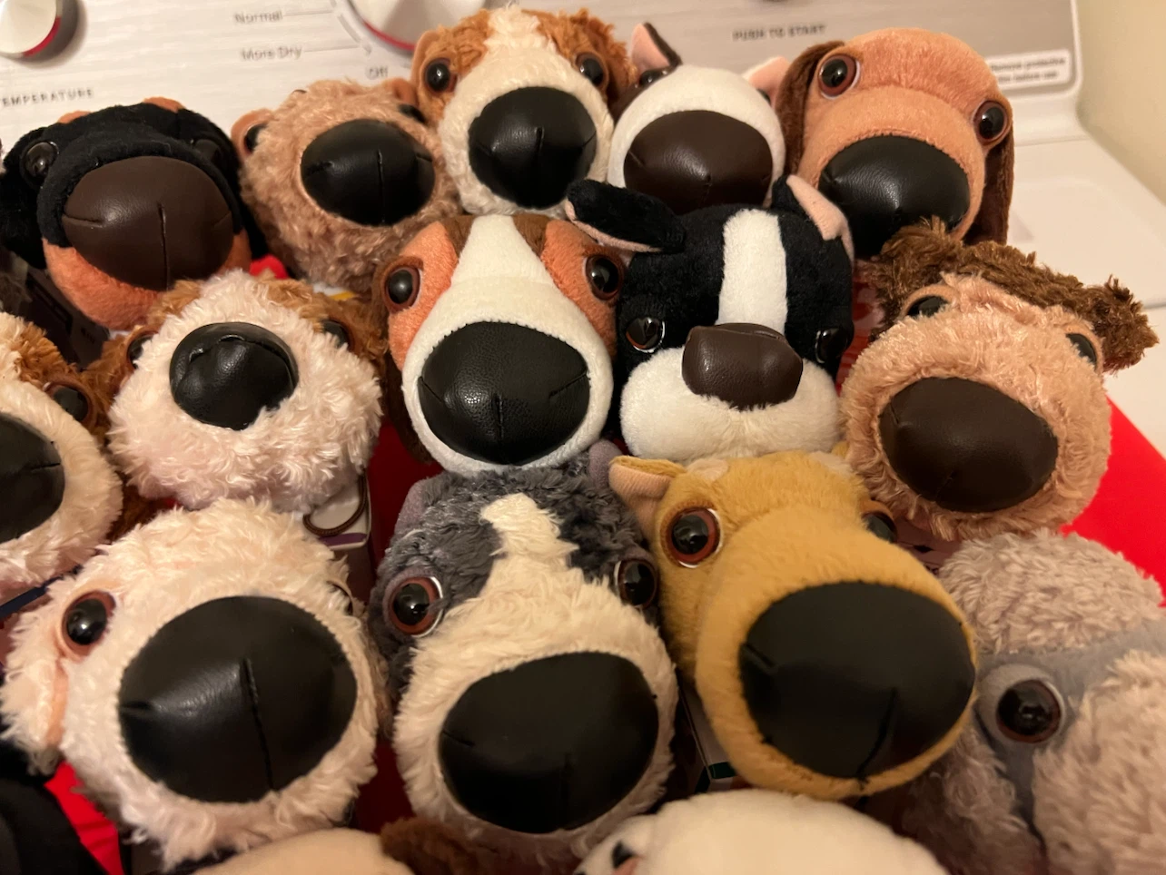 Collection of The Doggie Mascot 2nd Plush Toys - photo 4