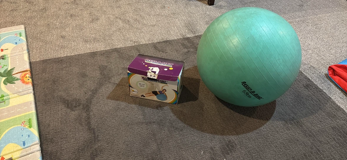Resist-A-Band Exercise Ball 65cm