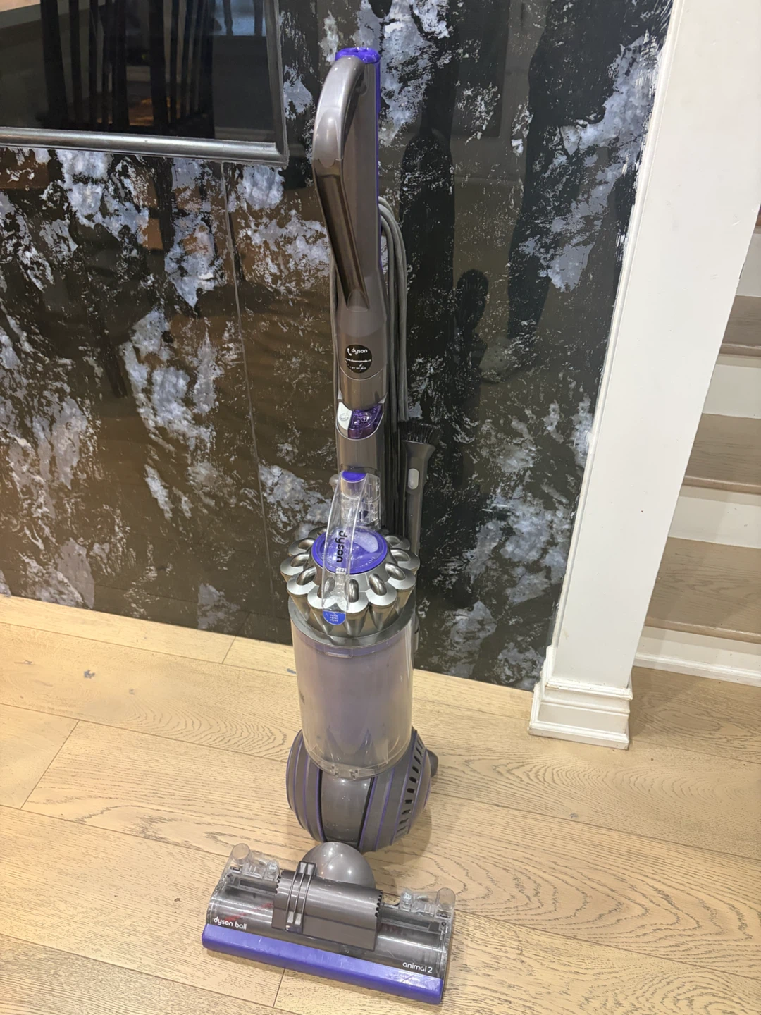 Dyson Ball Animal 2 UP20 – Powerful Upright Vacuum