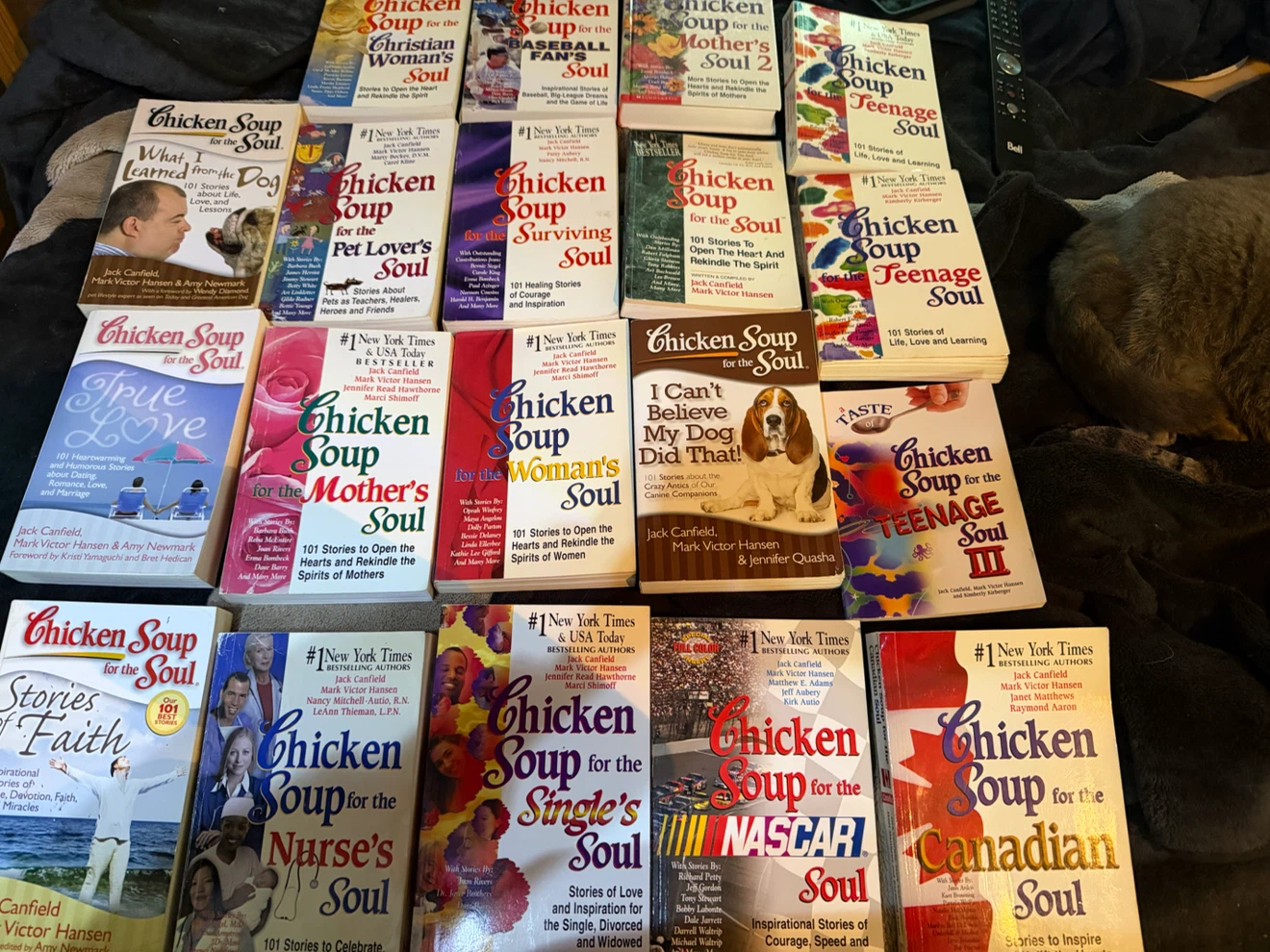 Collection of 20 Chicken Soup for the Soul Books