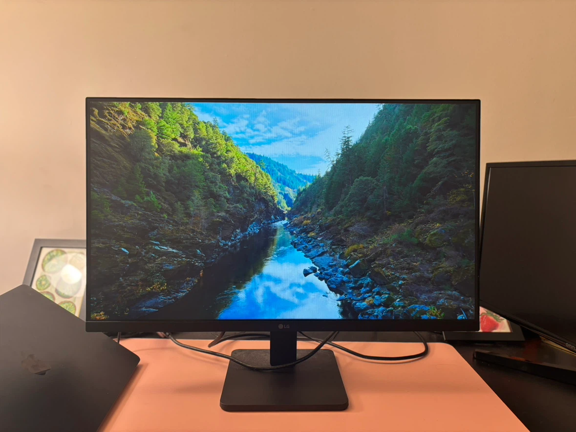 LG Computer Monitor