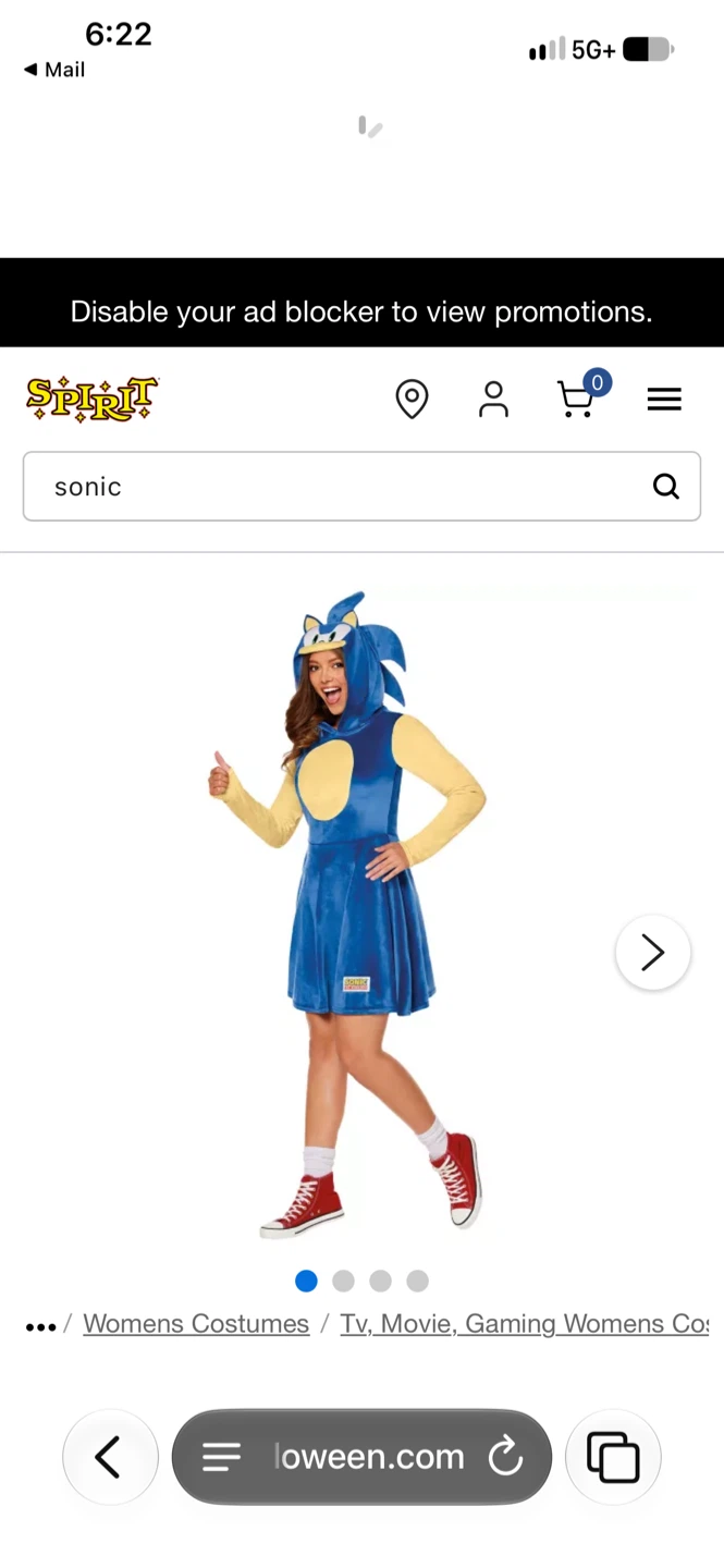 Sonic the Hedgehog Women's Costume