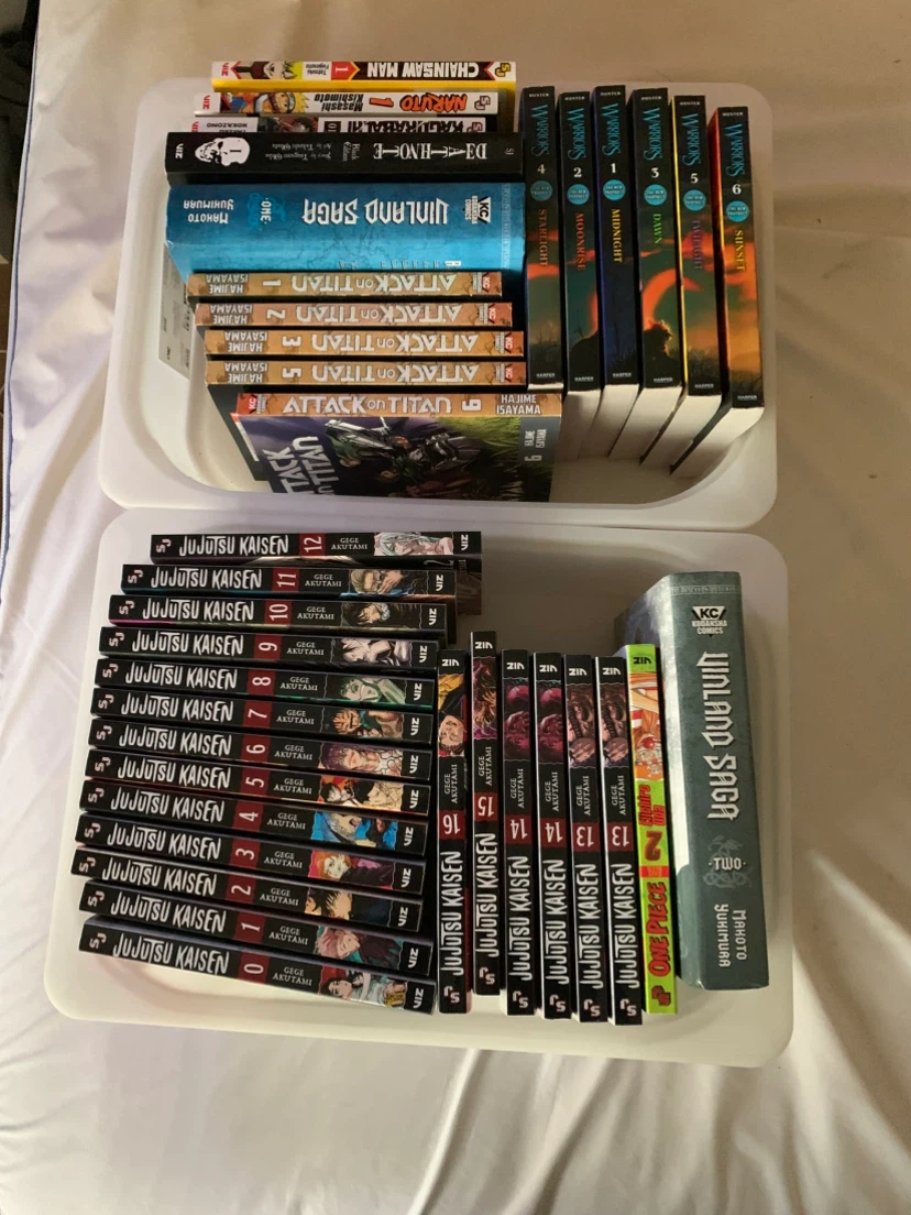 Large Manga and Young Adult Book Collection
